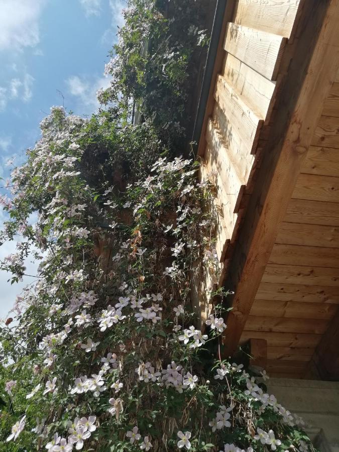 Appartement Seppi Инсбрук Екстериор снимка